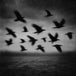 Afterlives