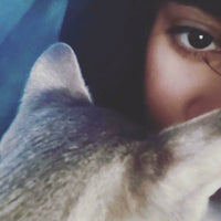 Awesomecat2011