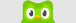 Duolingo