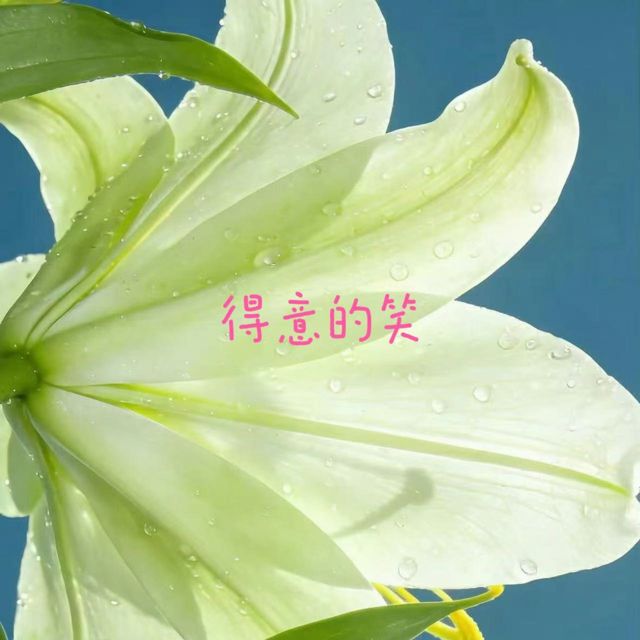 落日微笑 - '得意的笑' [Ringtone]