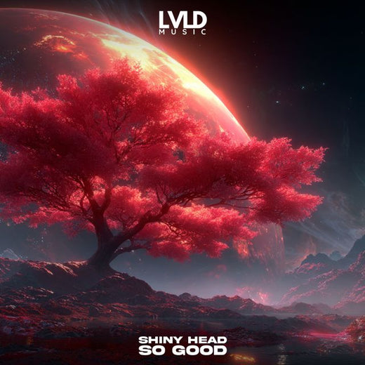 Shiny Head - 'So Good' [Ringtone]