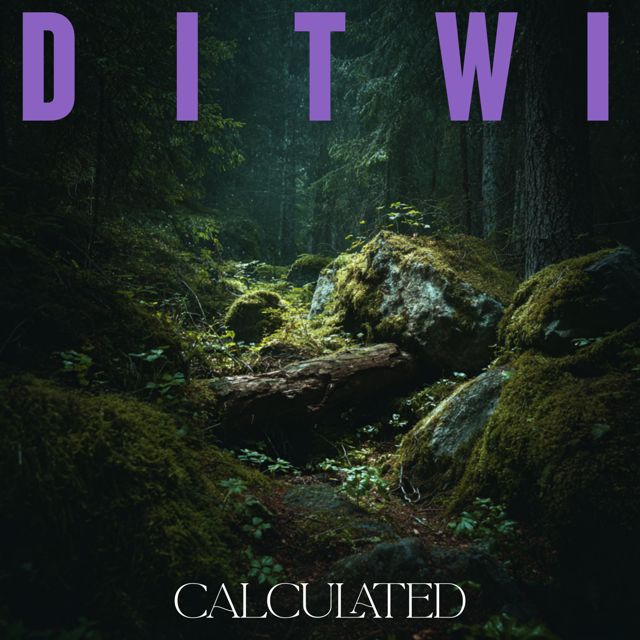 Calculated - 'DITWI' [Ringtone]