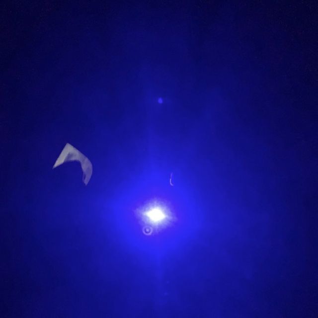 32Richey - 'FREE ARP (feat. MarcianoArp)' [Ringtone]