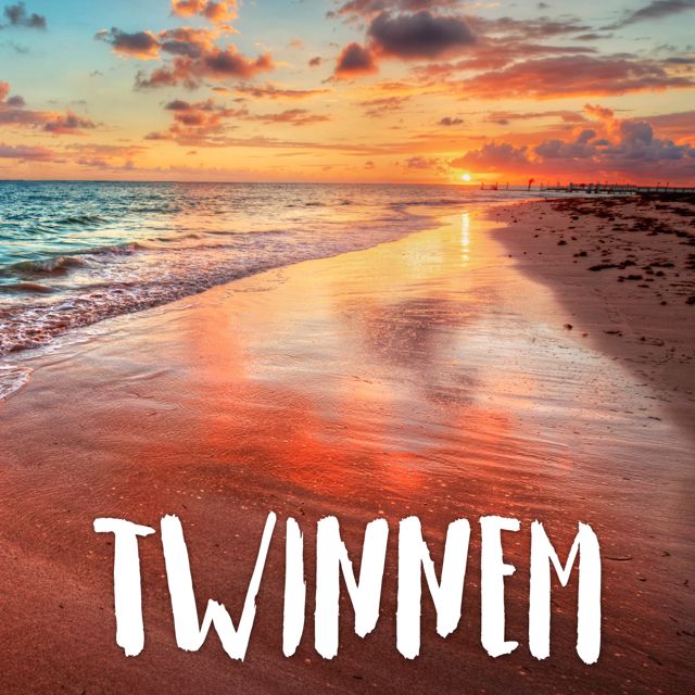 Tropical Jawns - 'Twinnem' [Ringtone]
