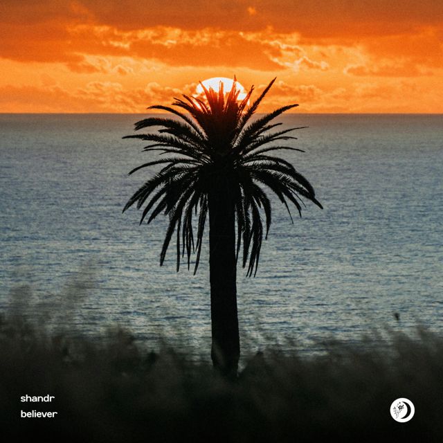 shandr - 'Believer' [Ringtone]