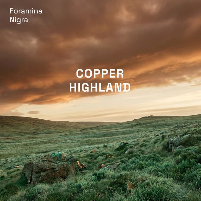 Foramina Nigra - 'Copper Highland' [Ringtone]