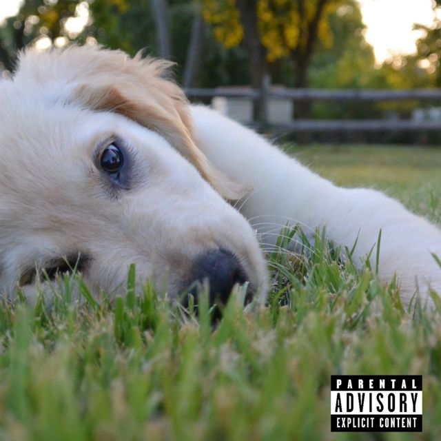Jeffrey - 'My Dawg' [Ringtone]