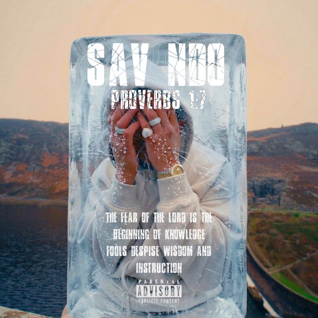 Sav NDO - 'Old Me' [Ringtone]