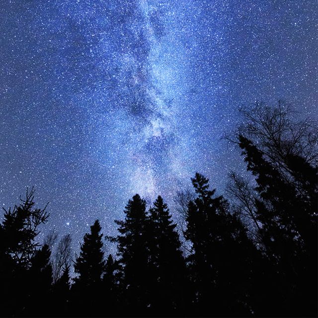 Isaac Matthews - 'Summer Nights' [Ringtone]