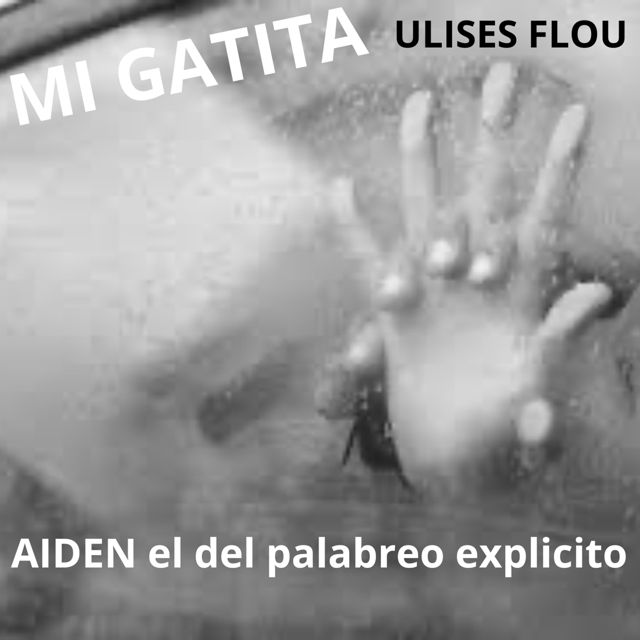 AIDEN el del palabreo explicito - 'MI GATITA (feat. ULISES flow)' [Ringtone]