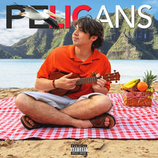 KLSO - 'PELICANS' [Ringtone]