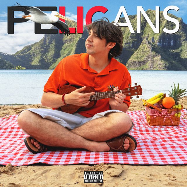 KLSO - 'PELICANS' [Ringtone]