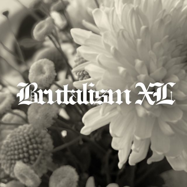 Brutalism XL - 'Meridians' [Ringtone]
