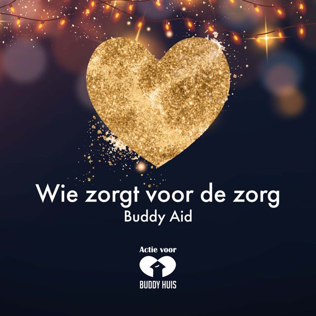 Buddy Aid - 'Wie zorgt voor de zorg' [Ringtone]