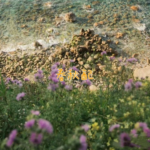 林诗曼 - '春秋配' [Ringtone]