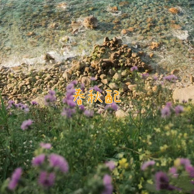 林诗曼 - '春秋配' [Ringtone]