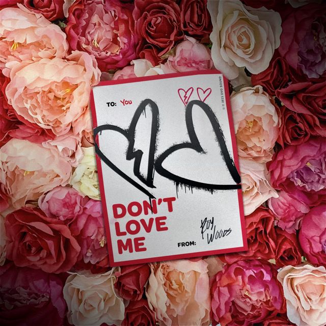 Roy Woods - 'Don't Love Me' [Ringtone]