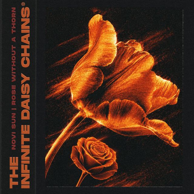 The Infinite Daisy Chains - 'Rose Without a Thorn' [Ringtone]