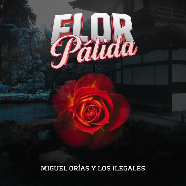 Miguel Orías - 'Flor Pálida' [Ringtone]