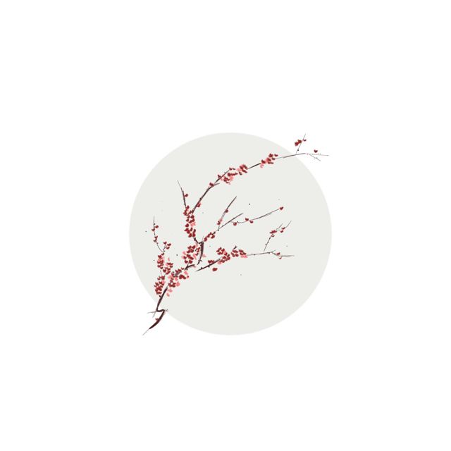 Amacchi - 'Bloom' [Ringtone]