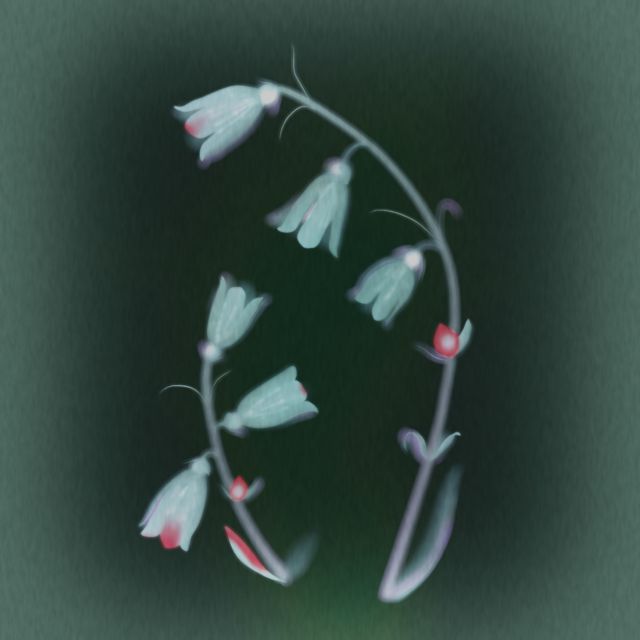 Yumi Nu - '25' [Ringtone]