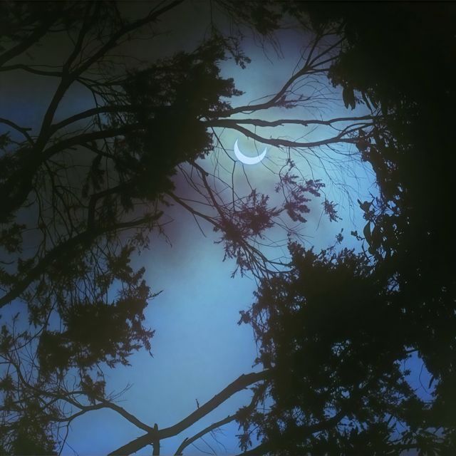 Ayingel - 'Torn Apart' [Ringtone]