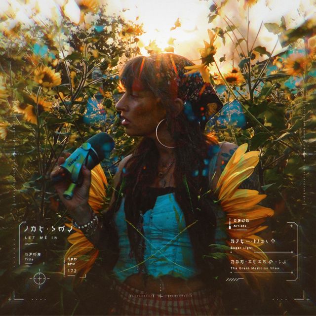 Sugar Light - 'Let me in (feat. The Great Medicine Show)' [Ringtone]