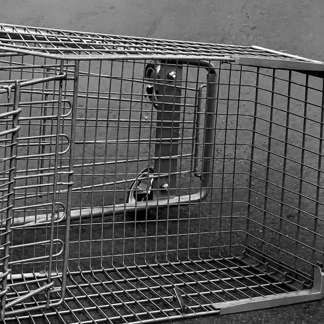 Greg DeRosa - 'Shopping Cart (Stripped)' [Ringtone]