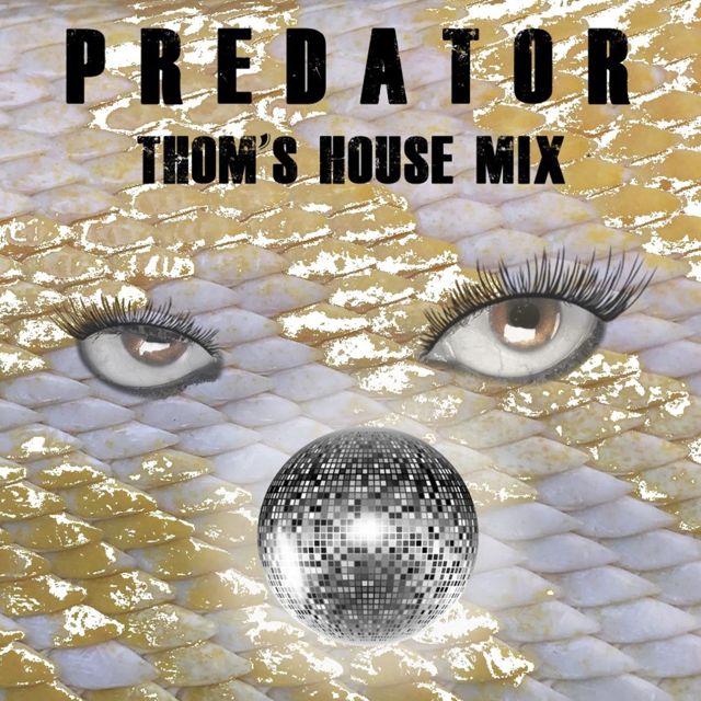 Chris Sunfield - 'Predator (Thom's House Mix) (feat. J Morris & Brent Bodrug)' [Ringtone]