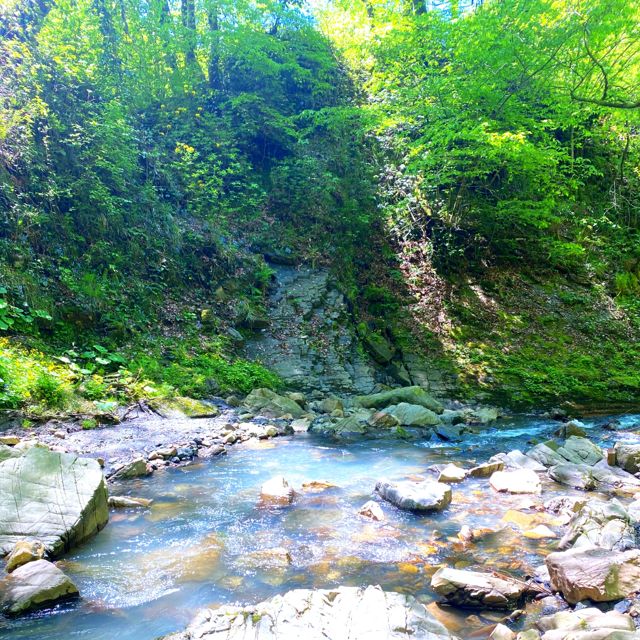 Tish' - 'Leaves Along the River (Ambient Version)' [Ringtone]