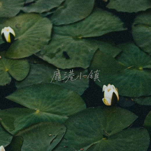 白兰滴 - '鹿港小镇' [Ringtone]