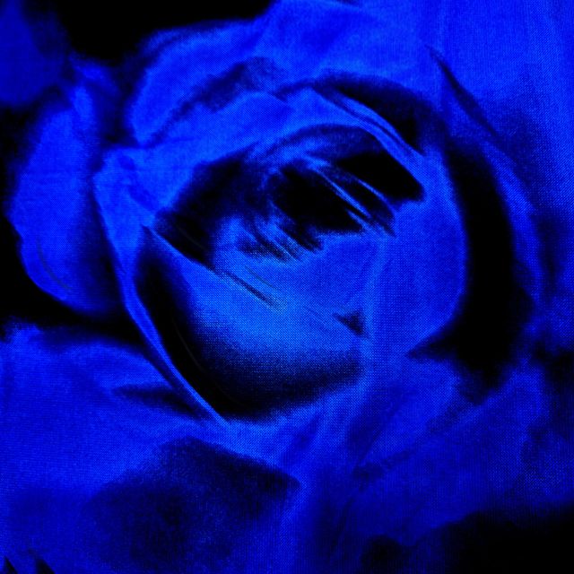 Sara Kaeding - 'Beautiful Nightmare' [Ringtone]