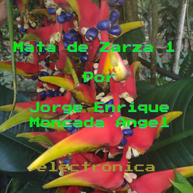 Jorge Enrique Moncada Angel - 'Mata de Zarza 1' [Ringtone]
