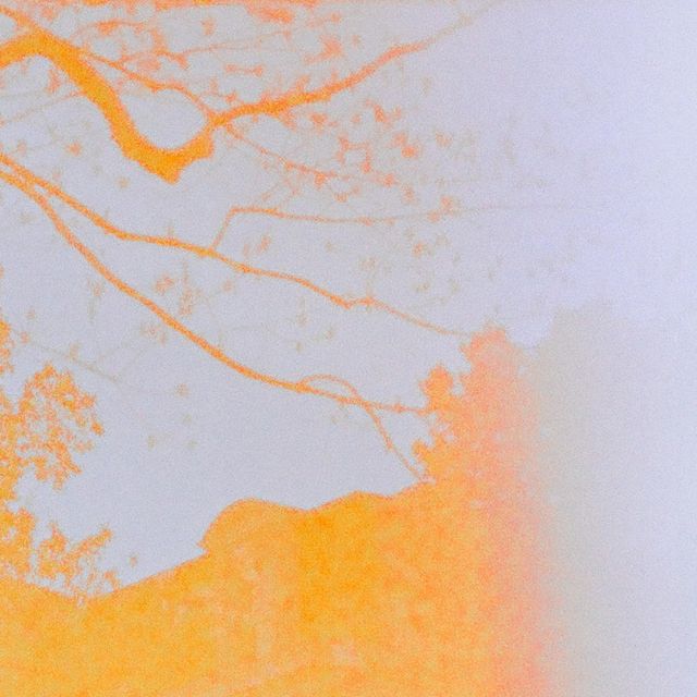 Slo Loris - 'OSF (feat. Prospect Madison)' [Ringtone]