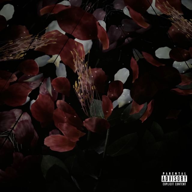 Vino Rose - 'U-M-N' [Ringtone]