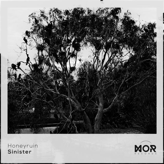 Honeyruin - 'Sinister' [Ringtone]