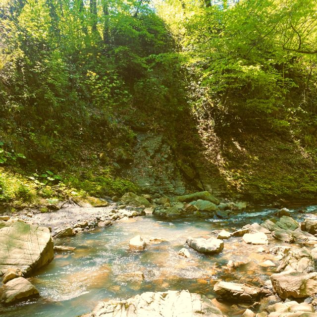 Alderhush - 'The River Beneath the Canopy' [Ringtone]