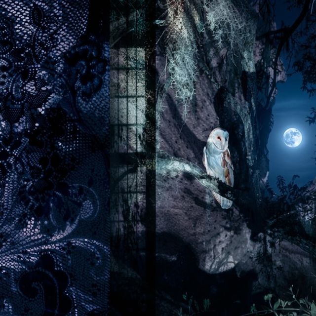 SATUMANE - 'reverse' [Ringtone]