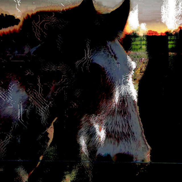you love me - 'Dispatch' [Ringtone]