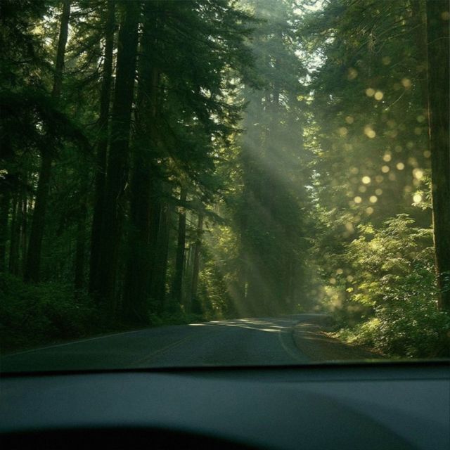 Inlirium - 'waiting for daylight' [Ringtone]