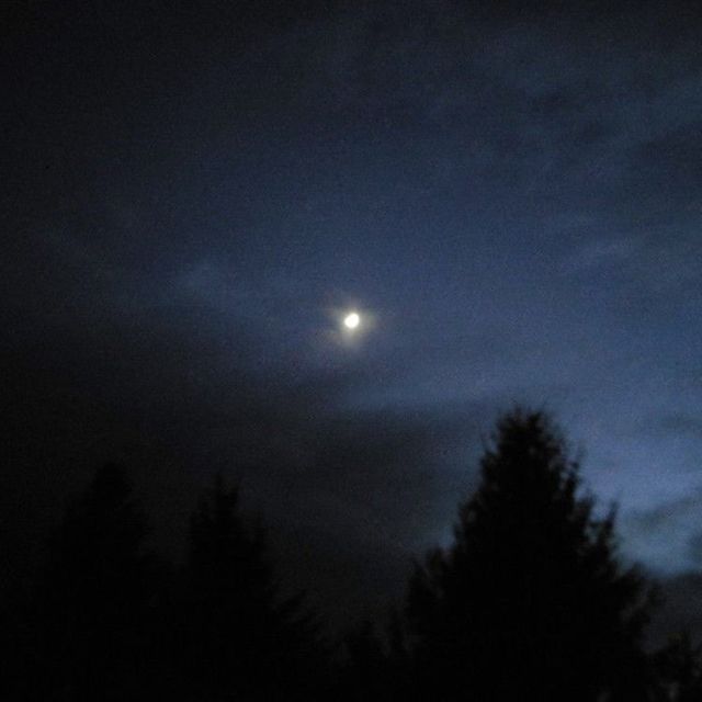 forlorn - 'i was happier with you' [Ringtone]