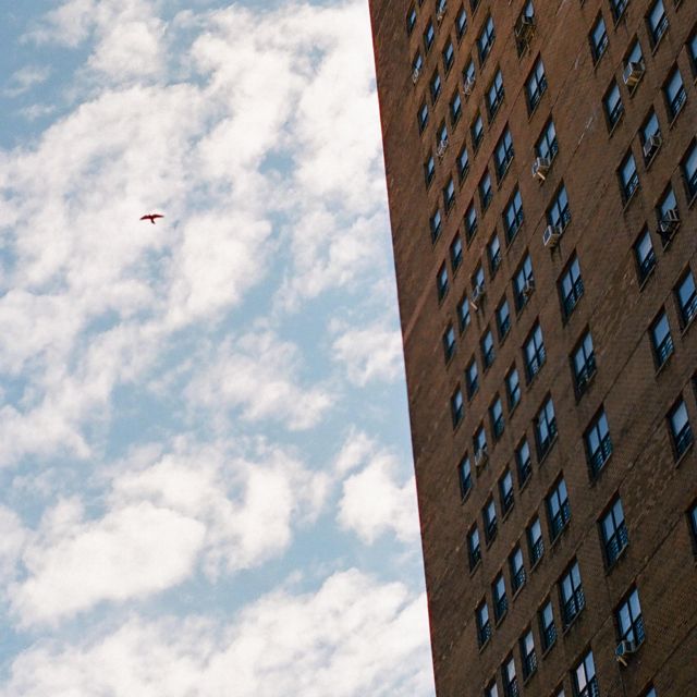 Slo Loris - 'Rooftop' [Ringtone]