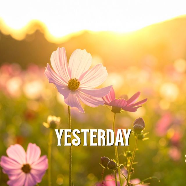 Calamar Negro - 'Yesterday' [Ringtone]