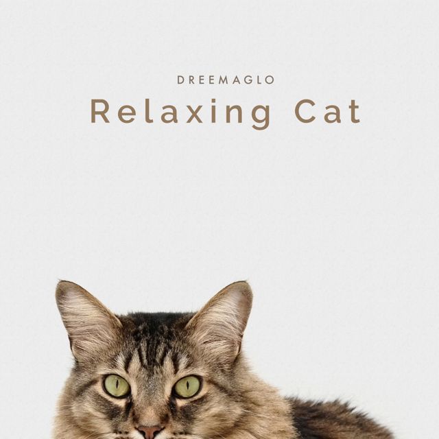 dreemaglo - 'Relaxing Cat' [Ringtone]