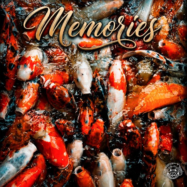 Kitty - 'Memories' [Ringtone]