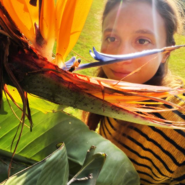 Deborah Oks - 'Abeja' [Ringtone]