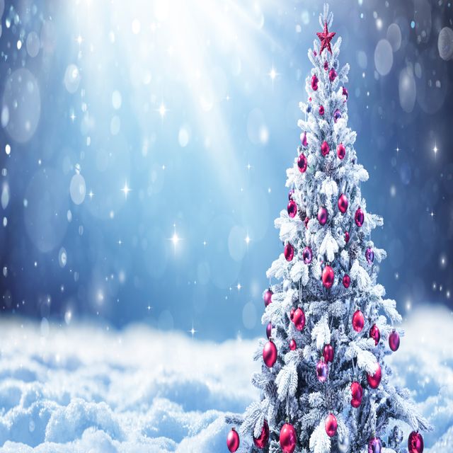 Dj Holidayz - 'Fancy Like Christmas (Go Jesus, It's Your Birthday) (Female Version)' [Ringtone]