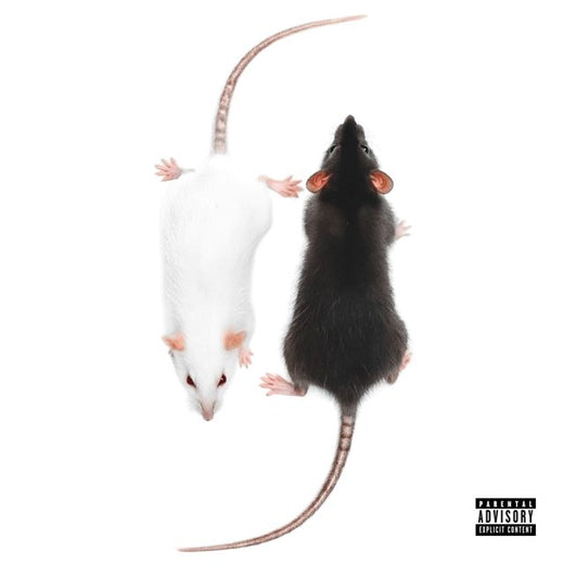 Suilju - 'STRAAT RATJE (feat. Adfbigga)' [Ringtone]