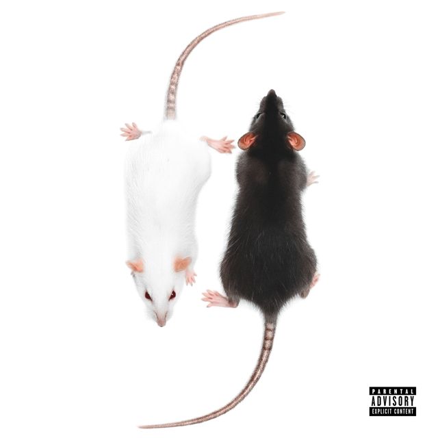 Suilju - 'STRAAT RATJE (feat. Adfbigga)' [Ringtone]