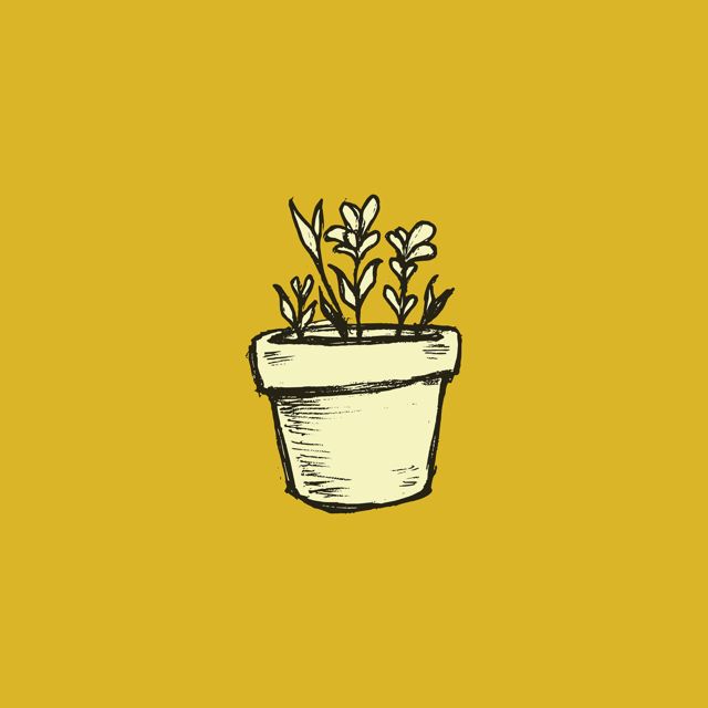Sun State Blues - 'Starting to Grow' [Ringtone]